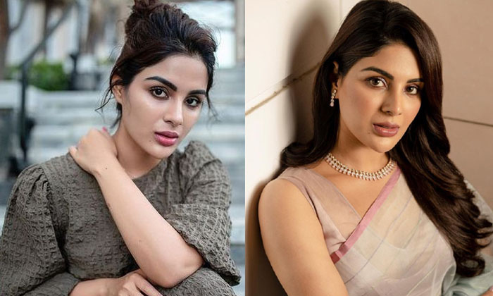 Samyukta Menon Telugu Speeking , Samyukta Menon , Telugu , Virupaksha , Tollywoo Samyukta Menon Telugu Speeking , Samyukta Menon , Telugu , Virupaksha , Tollywoo-TeluguStop.com