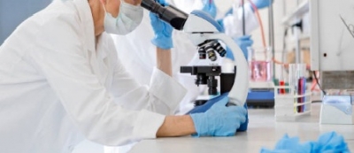 Scientists Develop Mini-heart Sized 0.5 Mm In Lab Scientists Develop Mini-heart Sized 0.5 Mm In Lab-TeluguStop.com