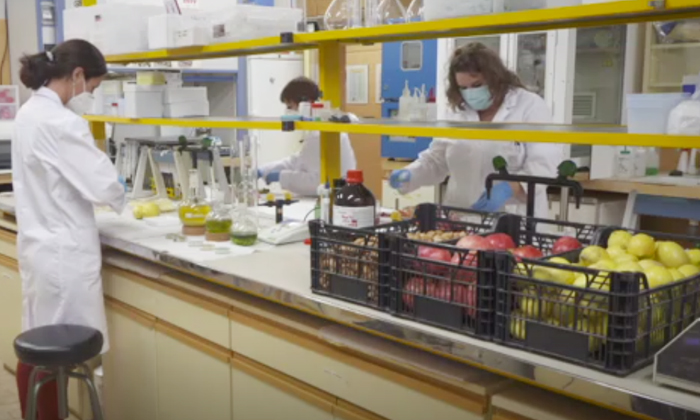 Scientists Using Lemon Corn Almonds Waste To Make Car Parts Details, Scientists Scientists Using Lemon Corn Almonds Waste To Make Car Parts Details, Scientists-TeluguStop.com