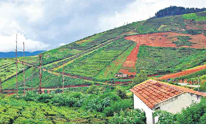 Telugu Coorg, Coorgcoffee, Coorg Hill, Karnataka, Kodagu-Latest News - Telugu