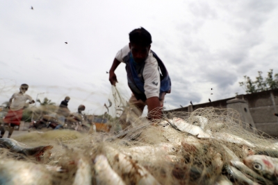  Sea Food Prices Set To Surge As 61-day Fishing Ban Begins In Tn Today-TeluguStop.com