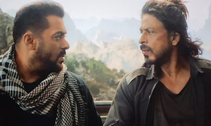  Sharukh Khan And Salman Khan Movie Not Getting Hype Details, Sharukh Khan, Salma-TeluguStop.com