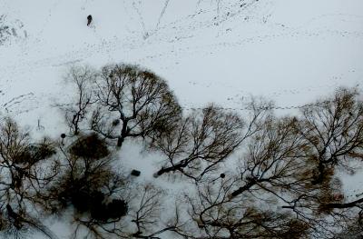  Snow, Dust Storms Sweep Parts Of Mongolia-TeluguStop.com