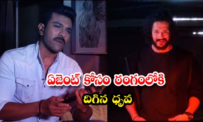  Dhruva Entered The Arena For The Agent , Ram Charan , Akhil Akkineni , Dhruva-TeluguStop.com