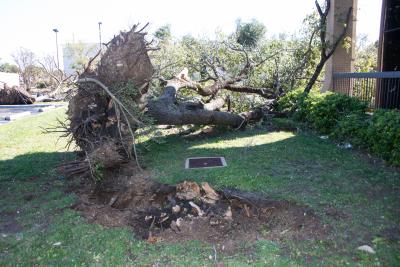  Tornadoes Hit Us' Arkansas, Causing 'catastrophic' Damage-TeluguStop.com