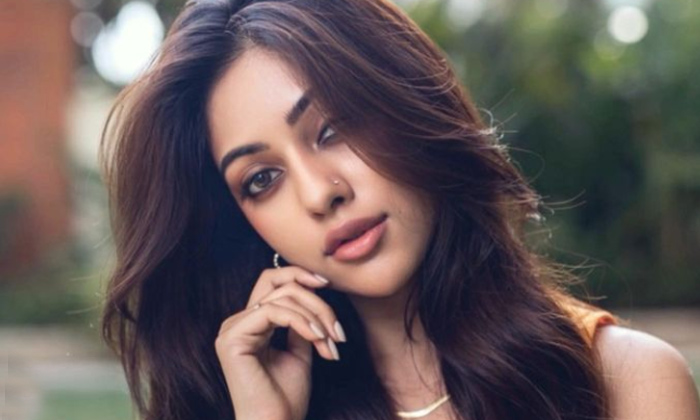  Anu Emmanuel Career Up And Downs-TeluguStop.com