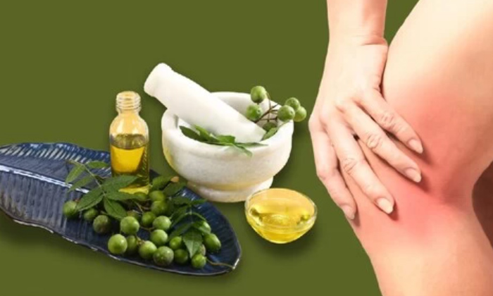 Telugu Arthritis, Tips, Knee, Telugu, Vippa Oil, Vippaoil-Telugu Health