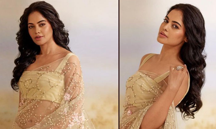  Bindu Madhavi Joined The List Are Netizens Trolls Because Of Her Appearance-TeluguStop.com