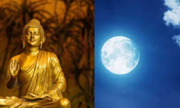  This Is The Real Reason For Worshiping The Bodhi Tree  On Buddha Purnima Day..!-TeluguStop.com