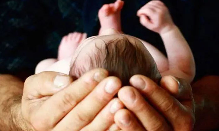  Doctor's Experiment Is Successful..baby Born With Dna Of Three People..! , Dna-TeluguStop.com