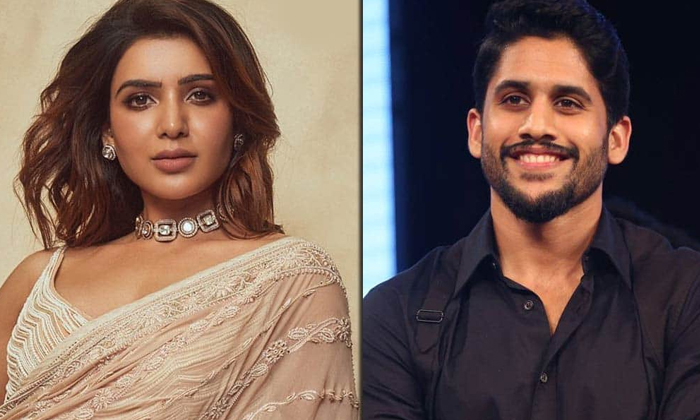  Did Chaitu And Sam Break Up Because Of Social Media Comments-TeluguStop.com