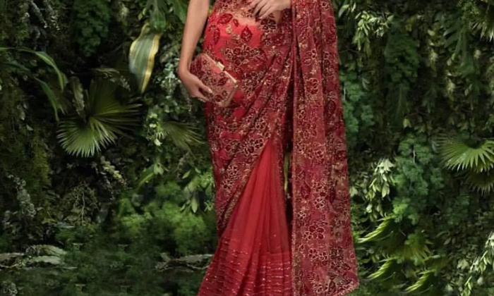  Do You Know What Happens If You See A Woman Wearing A Red Saree In Your Dream ,-TeluguStop.com