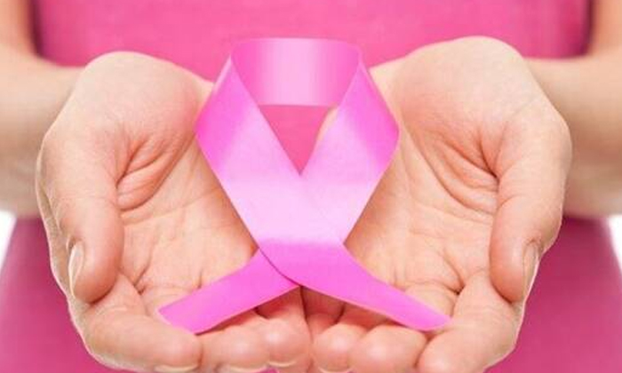 Telugu Breast Cancer, Broccoli, Cabbage, Cauliflower, Vegetables, Tips-Telugu He Telugu Breast Cancer, Broccoli, Cabbage, Cauliflower, Vegetables, Tips-Telugu He