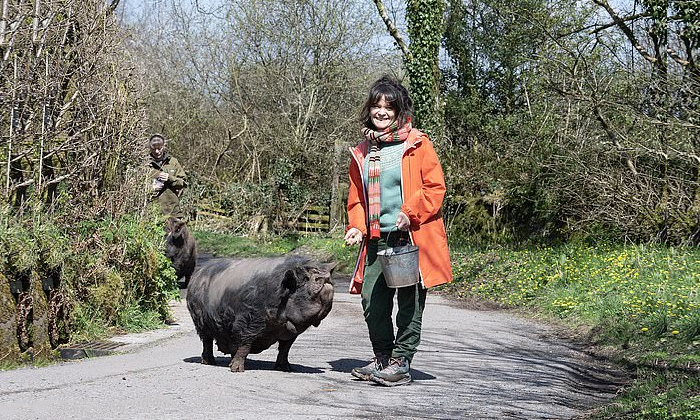  England Woman Do Pig Walking Therapy For Better Health Details, Walking With Pig-TeluguStop.com