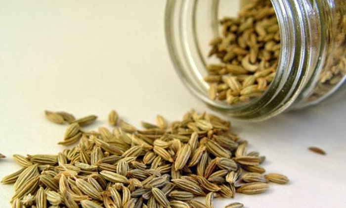  Amazing Health Benefits Of Fennel Seeds,fennel Seeds,health Tips,telugu Health,d-TeluguStop.com