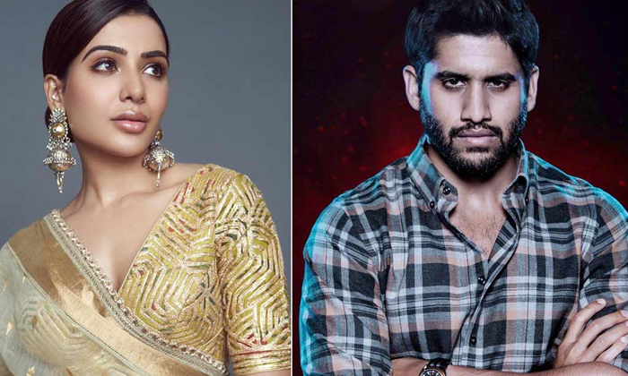 Telugu Divorce, Naga Chaitanya, Nagarjuna, Samantha, Tollywood-Movie Telugu Divorce, Naga Chaitanya, Nagarjuna, Samantha, Tollywood-Movie