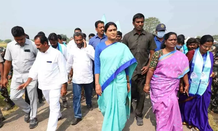  Is Sharmila Confused Details, Telangana News,ys Sharmila,ys Rajashekar Reddy,ts-TeluguStop.com