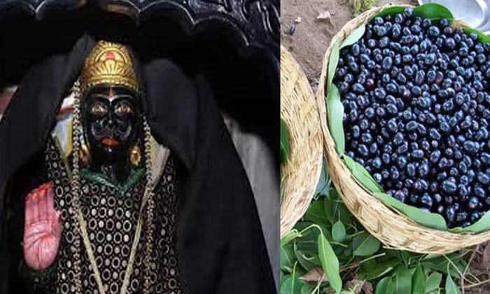 Telugu Devotional, Immunity, Jamun Fruit, Lord Shani, Sesame Oil, Shani Dosham-L