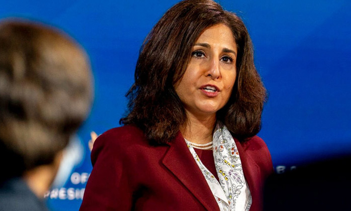  Joe Biden Names Indian American Neera Tanden His Domestic Policy Adviser , Cabin-TeluguStop.com