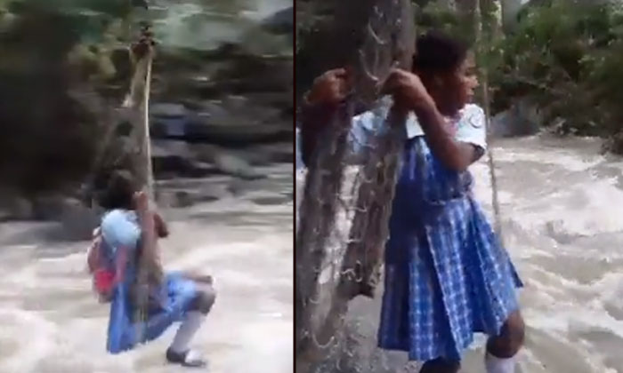  Viral: The Child Crossing The River Every Day To Study. Netizens Praise! Kids T-TeluguStop.com