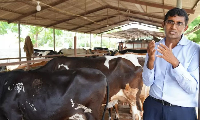 Telugu Cow, Dairy, Hyderabad, Iit Kharagpur, Intel Employee, Privatemilk-Busines