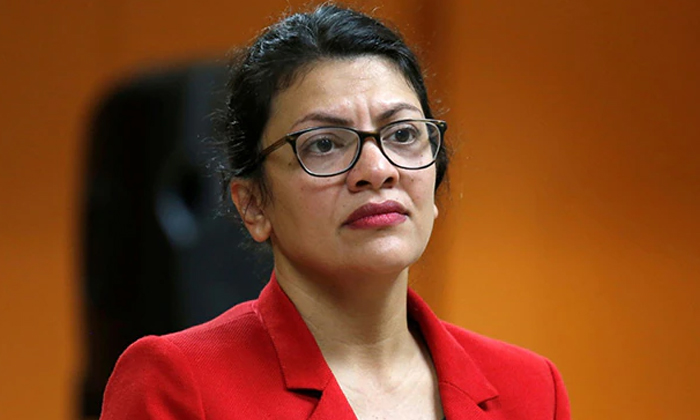 Telugu Delia Ramirez, Visas, Professionals, Hireforeign, Rashida Tlaib, Veteran