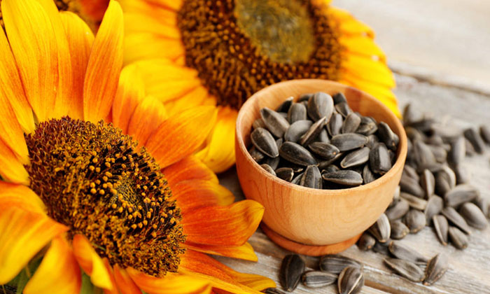 Telugu Pressure, Foods, Tips, Latest, Bp-Telugu Health