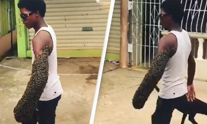  Man Carries An Entire Bee Colony On His Arm Video Viral Details, Honey Bees, Vir-TeluguStop.com