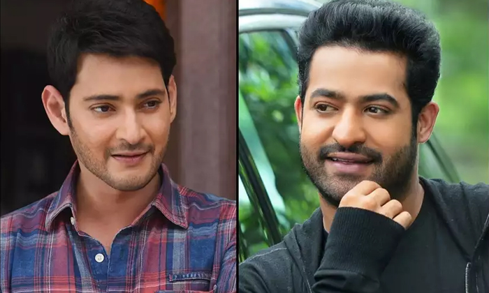  Ntr Is Paid More Than Mahesh Babu,mahesh Babu,junior Ntr,commercial Ads,ntr Remu-TeluguStop.com