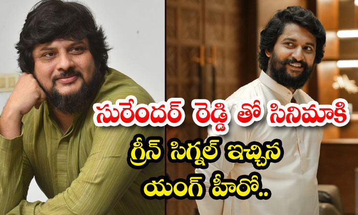  Surender Reddy New Movie With Nani Details, Nani, Surender Reddy, Agent , Tolly-TeluguStop.com