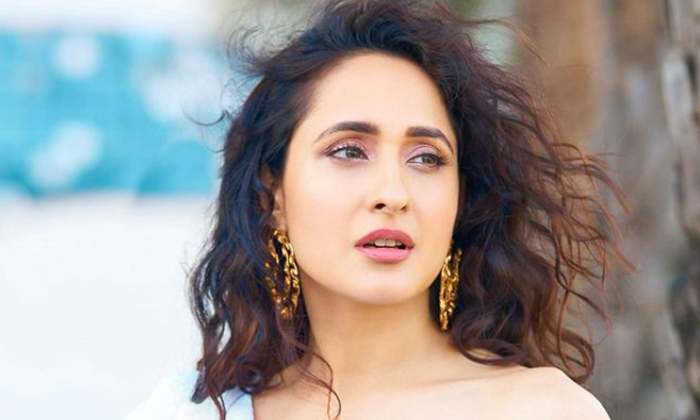  Netizens Negitive Comments About Pragya Jaiswal-TeluguStop.com