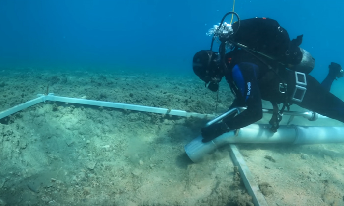 Telugu Archaeology, Croatia Zadar, Hvar, Road, Soline Site, Stone Age Road, Terr