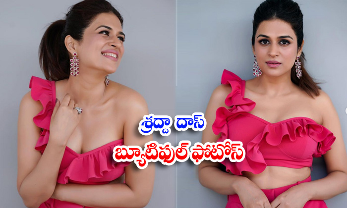 Shraddha Das Looks Stunning And Spicy In This Clicks Shraddha Das Looks Stunning And Spicy In 