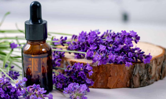 Telugu Eucalyptus Oil, Tips, Lavender Oil-Telugu Health
