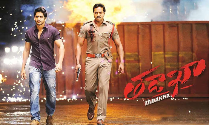  The Fight Between Naga Chaitanya And Sunil Nagarjuna Entered The Arena Details,-TeluguStop.com