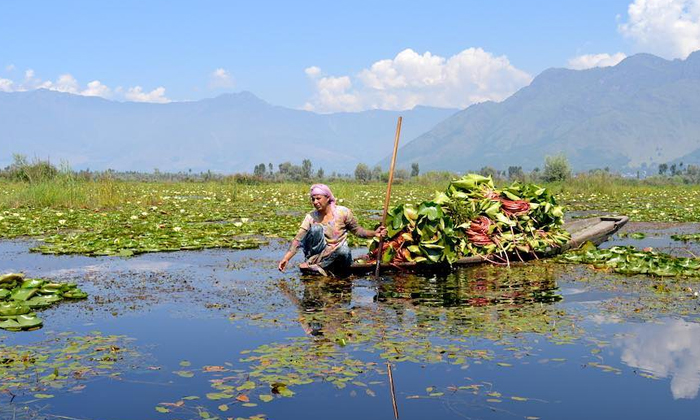 Telugu Dal Lake, Gadsar Lake, Kashmir, Mountains, Nigeen Lake, Pangong Lake, Wul