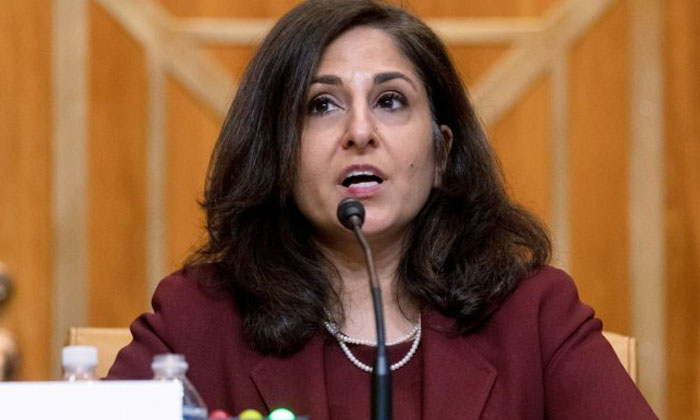 Telugu Geeta Rao Gupta, Womens, Indian American, Joe Biden, Neera Tanden, Senate