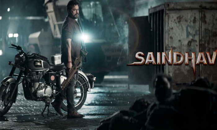 Telugu Rajamouli, Saindhav, Shailesh, Venkatesh Ups-Movie