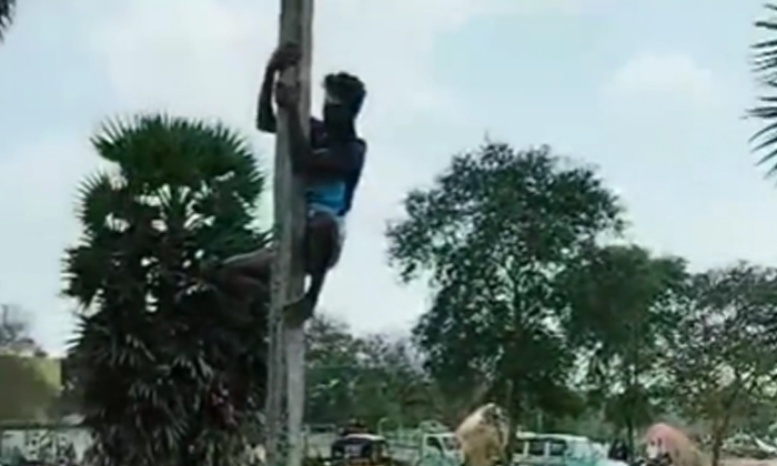 Video Parachakalas With Bull , San Fermín Festival, Bulls, Running With Bulls, Video Parachakalas With Bull , San Fermín Festival, Bulls, Running With Bulls,-TeluguStop.com