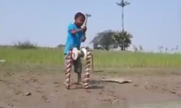  Viral Is Not A Child But A Thunderbolt See How He Kills Fish , Viral Latest, Ne-TeluguStop.com