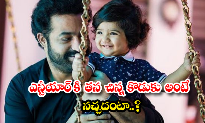  What Does Ntr Like About His Youngest Son, Ntr , Koratala Shiva, Global Star, B-TeluguStop.com
