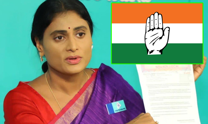 Telugu Congress, Dk Sivakumar, Karnataka, Sharmila, Telangana, Ys Jagan, Ys Shar