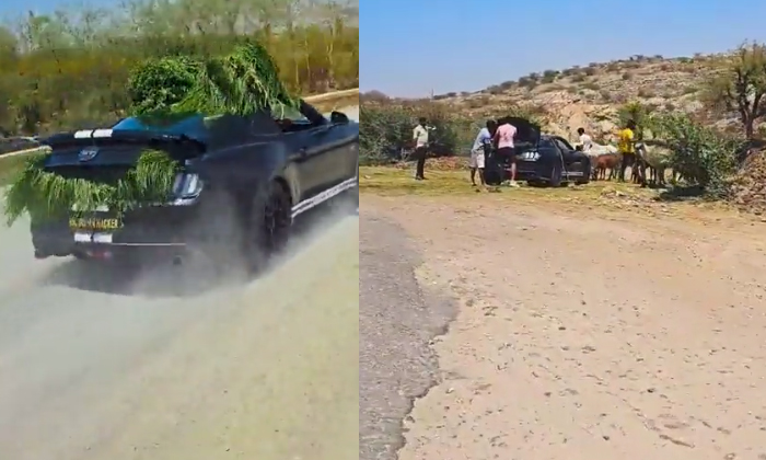  Youtuber Who Took Grass In A Car Worth Rs. 74 Lakhs Video Goes Viral, Ford Musta-TeluguStop.com