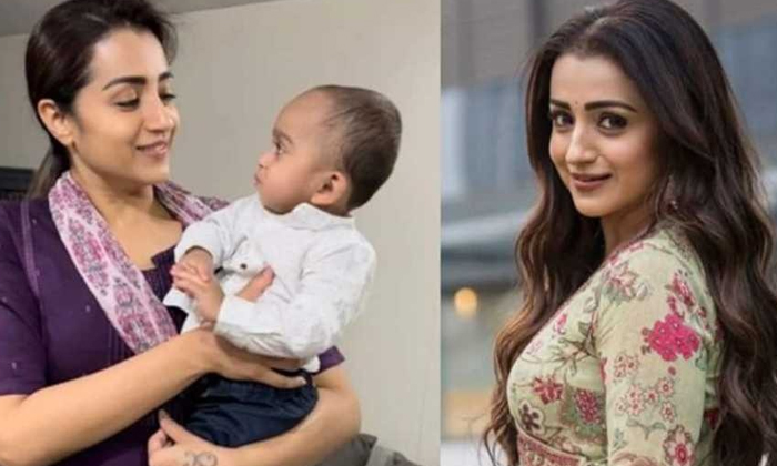 Telugu Road, Trisha-Movie