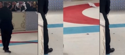 After Cats, Met Gala Carpet Hosts A Cockroach After Cats, Met Gala Carpet Hosts A Cockroach-TeluguStop.com