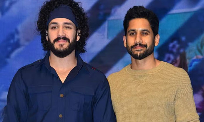 Telugu Akhil, Akkineni Heroes, Naga Chaitanya, Nagarjuna-Movie