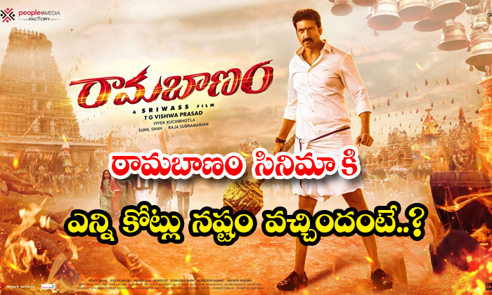  Area Wise Gopichand Ramabanam Movie Losses Details, , Ramabanam Movie, Ramabanam-TeluguStop.com