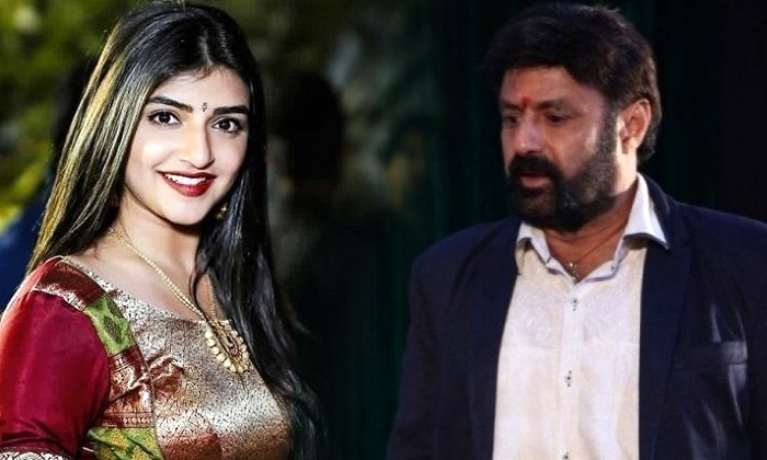  Balakrishna And Sri Leela Movie Interesting Update , Veera Simha Reddy Movie, Sr-TeluguStop.com