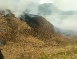 The Mystery Of The Fires In Tirupati District's Sanambatla The Mystery Of The Fires In Tirupati District's Sanambatla-TeluguStop.com