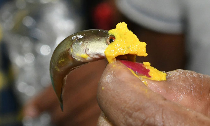 Telugu Sarath Babu, Chandrayan, Cm Kcr, Dimple Hayathi, Mlakotam, Telangana, Tel Telugu Sarath Babu, Chandrayan, Cm Kcr, Dimple Hayathi, Mlakotam, Telangana, Tel